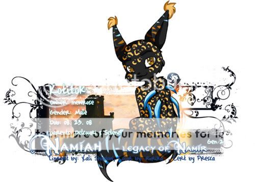 User Image